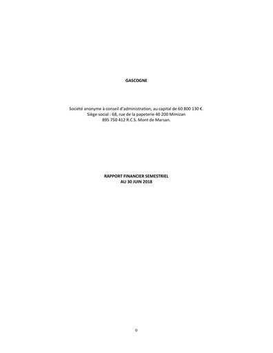 Miniature Gascogne Groupe Rapport semestriel 2018-h1