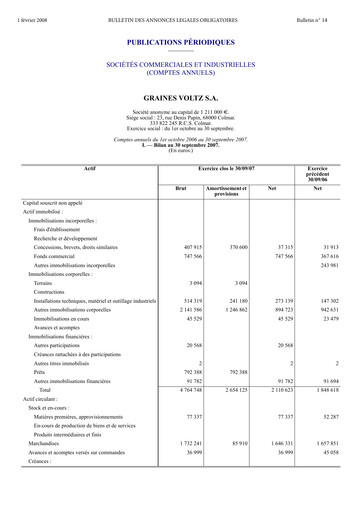 Miniature Graines Voltz Rapport financier 2007