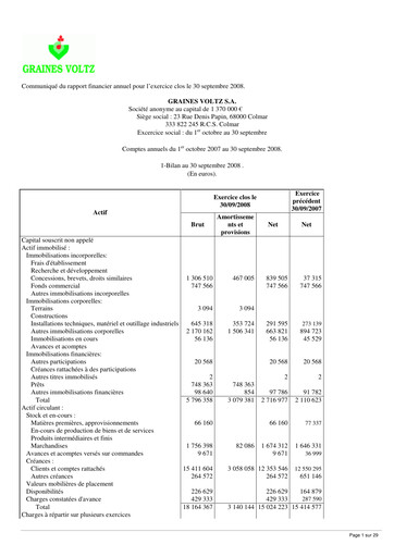 Miniature Graines Voltz Rapport financier 2008