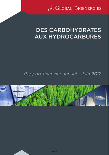 Thumbnail Global Bioenergies Financial Report 2011-2012