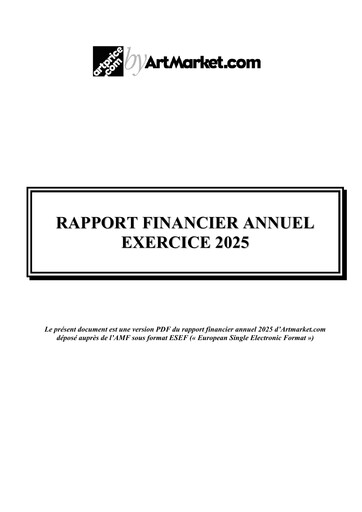 Thumbnail Artmarket.com Financial Report 2025