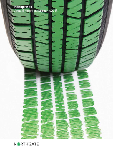 Thumbnail Zigup Annual Report 2013