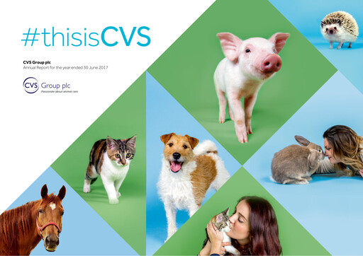 Thumbnail CVS Group Annual Report 2017