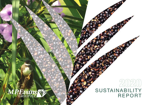 Vorschaubild M.P. Evans Group PLC Nachhaltigkeitsbericht 2020