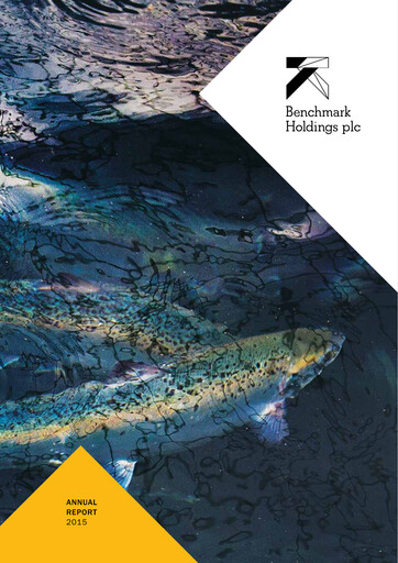 Vorschaubild Benchmark Holdings Jahresbericht 2015