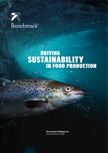 Vorschaubild Benchmark Holdings Jahresbericht 2018