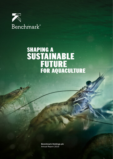 Vorschaubild Benchmark Holdings Jahresbericht 2019