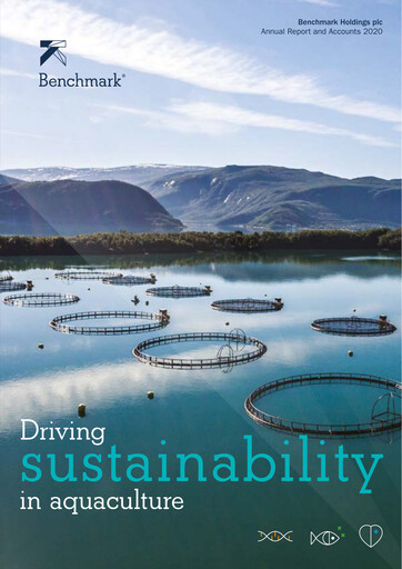 Vorschaubild Benchmark Holdings Jahresbericht 2020