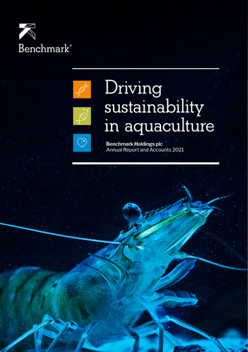 Vorschaubild Benchmark Holdings Jahresbericht 2021