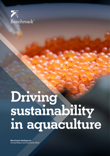 Vorschaubild Benchmark Holdings Jahresbericht 2022