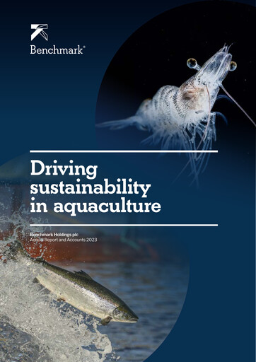 Vorschaubild Benchmark Holdings Jahresbericht 2023