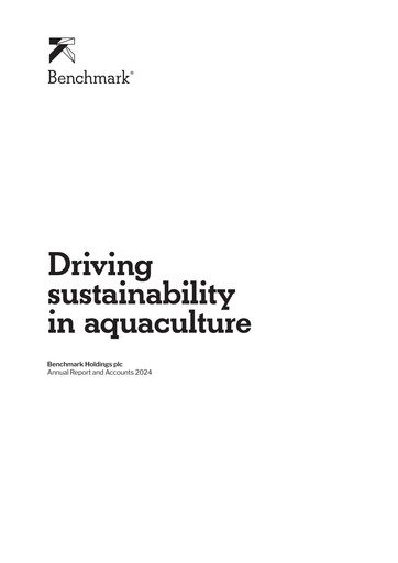Vorschaubild Benchmark Holdings Jahresbericht 2024