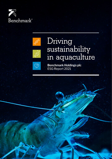 Thumbnail Benchmark Holdings ESG Report 2021