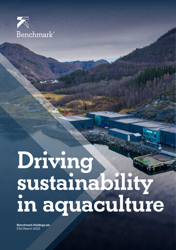 Thumbnail Benchmark Holdings ESG Report 2022