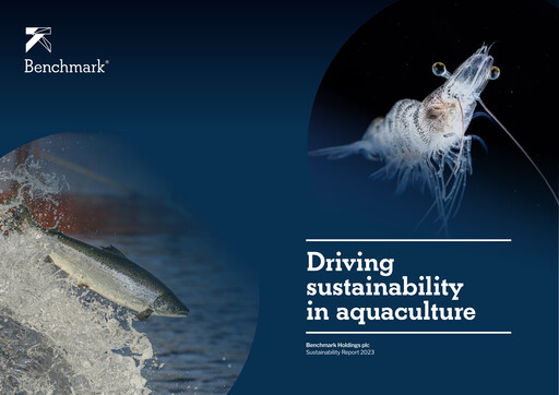 Vorschaubild Benchmark Holdings Nachhaltigkeitsbericht 2023