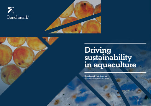 Vorschaubild Benchmark Holdings Nachhaltigkeitsbericht 2024