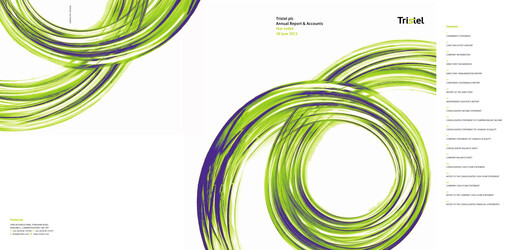 Thumbnail Tristel Annual Report fy2013