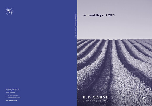 Miniature B.P. Marsh & Partners Rapport annuel 2019