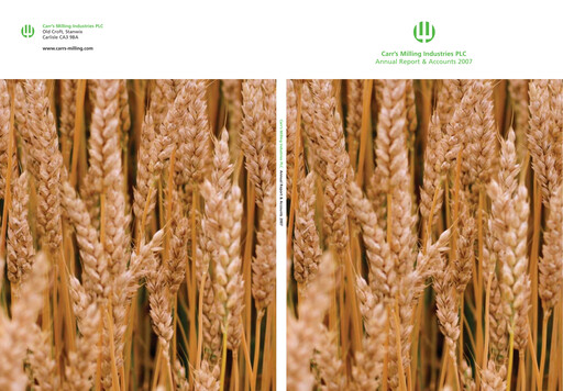 Miniature Carr's Group Rapport annuel 2007
