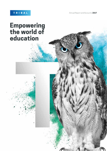 Thumbnail Tribal Group Annual Report 2017