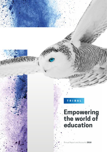 Thumbnail Tribal Group Annual Report 2018