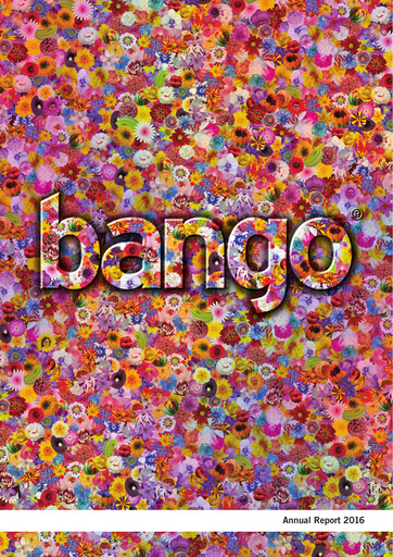 Thumbnail Bango Annual Report 2016