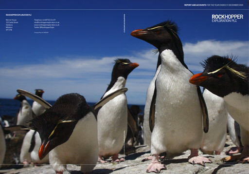 Thumbnail Rockhopper Exploration Annual Report 2020