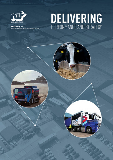 Thumbnail NWF Group plc Annual Report 2019