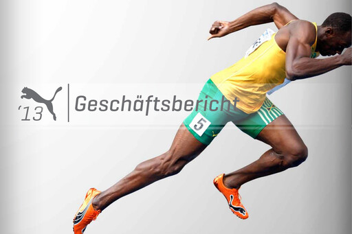 Thumbnail PUMA Annual Report 2013