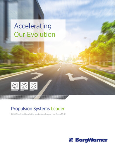 Thumbnail BorgWarner Annual Report 2018