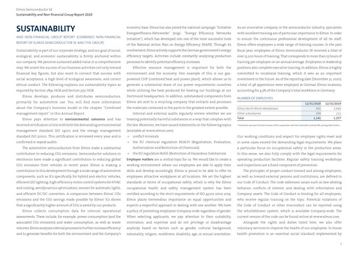 Miniature Elmos Semiconductor Rapport de durabilité 2020