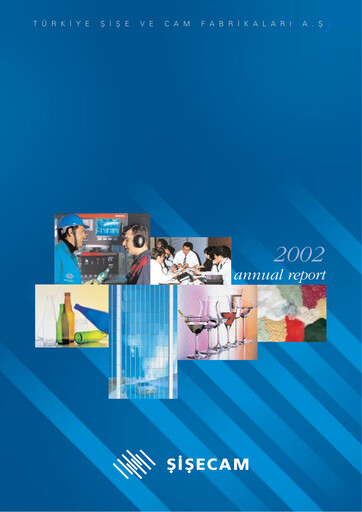 Thumbnail Şişecam Annual Report 2002
