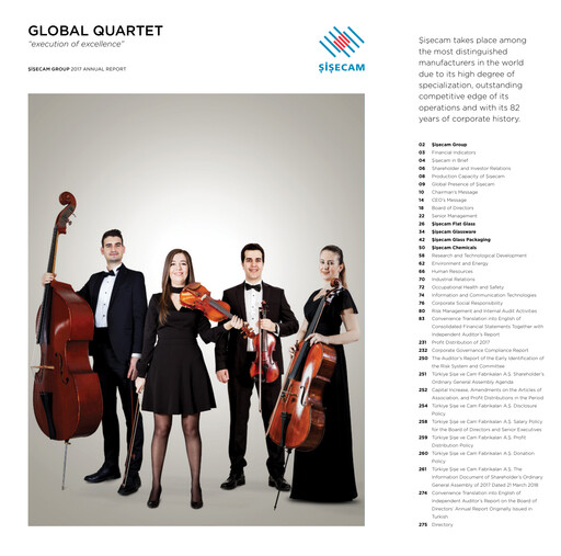 Thumbnail Şişecam Annual Report 2017