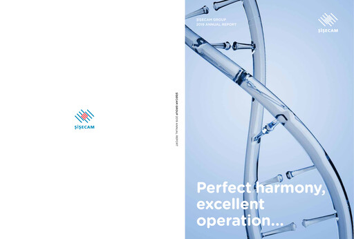 Thumbnail Şişecam Annual Report 2019