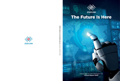 Thumbnail Şişecam Annual Report 2020