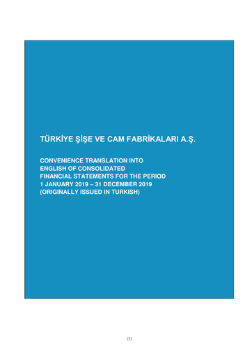 Thumbnail Şişecam Financial Statement 2019