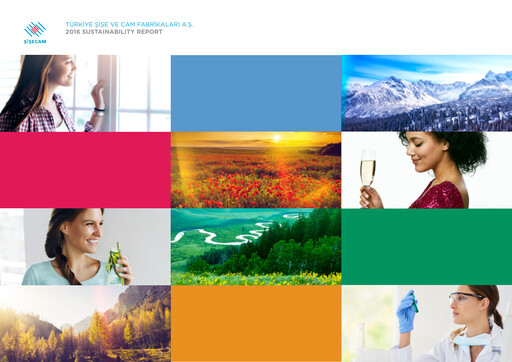 Miniature Şişecam Rapport de durabilité 2016