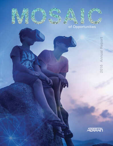 Miniature Adtran Networks Rapport annuel 2016