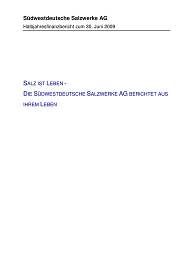 Miniature Südwestdeutsche Salzwerke Rapport semestriel 2009-h1