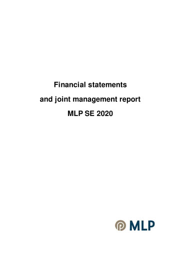 Thumbnail MLP SE Financial Statement 2020