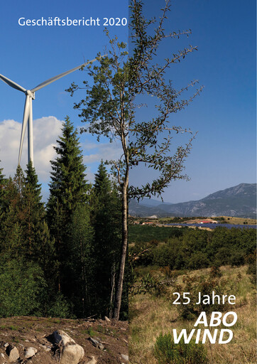 Thumbnail ABO Energy Annual Report 2020