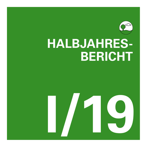 Vorschaubild EnviTec Biogas Halbjahresbericht 2019-h1