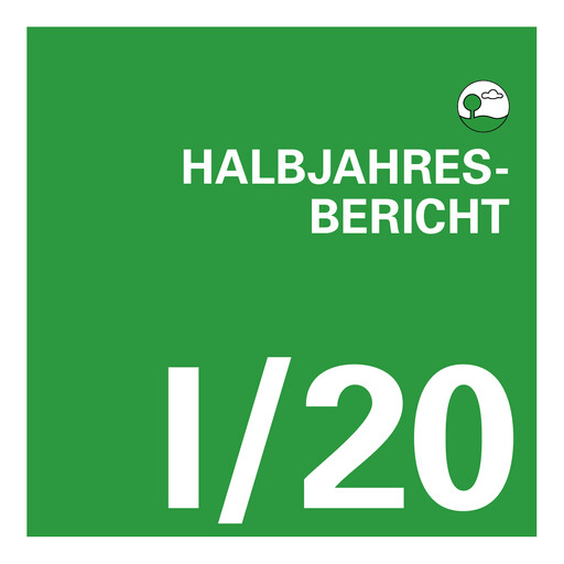Vorschaubild EnviTec Biogas Halbjahresbericht 2020-h1