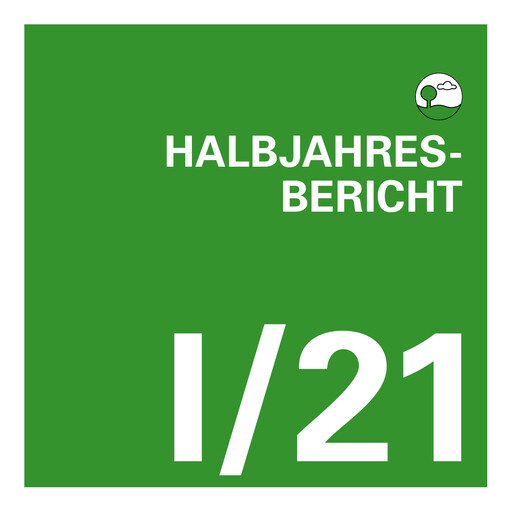 Vorschaubild EnviTec Biogas Halbjahresbericht 2021-h1