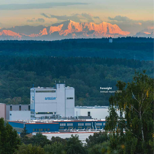 Thumbnail Uzin Utz Annual Report 2015