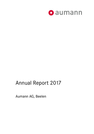 Miniature Aumann AG Rapport annuel 2017