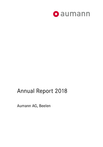 Miniature Aumann AG Rapport annuel 2018