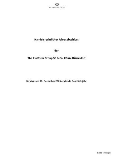 Thumbnail The Platform Group Financial Statement 2025