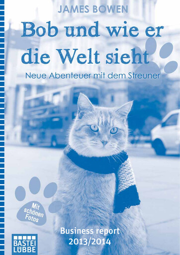 Thumbnail Bastei Lübbe Annual Report 2013-2014