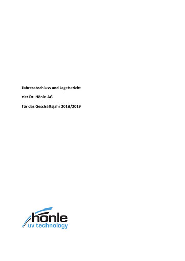 Thumbnail Dr. Hönle AG Financial Statement 2018-2019